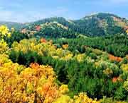 蒲县天气预报60天