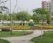 和田天气预报30天