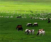 海北州天气预报7天