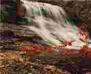 华亭天气预报15天