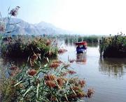 永靖天气预报40天