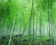 宜兴天气预报7天