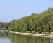 阜南天气预报40天